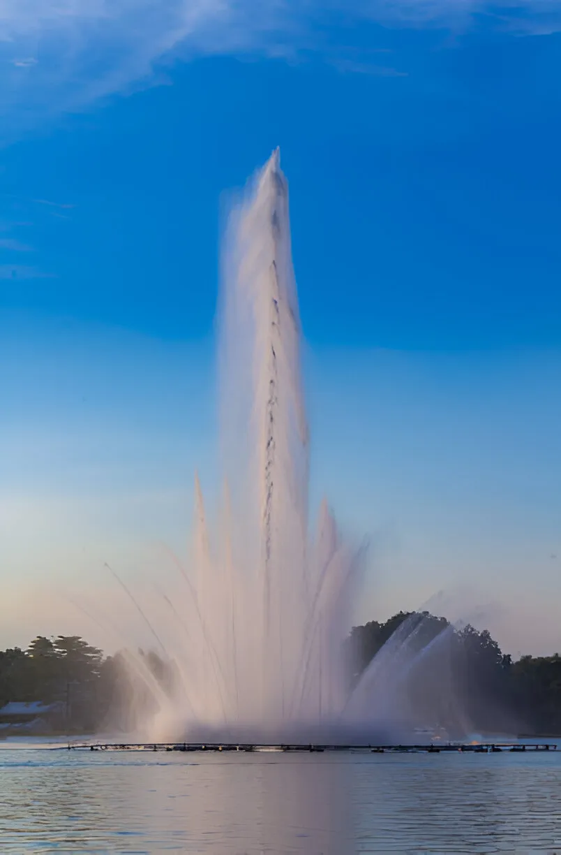 fountain water care